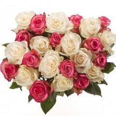 Bouquet of pink and white roses